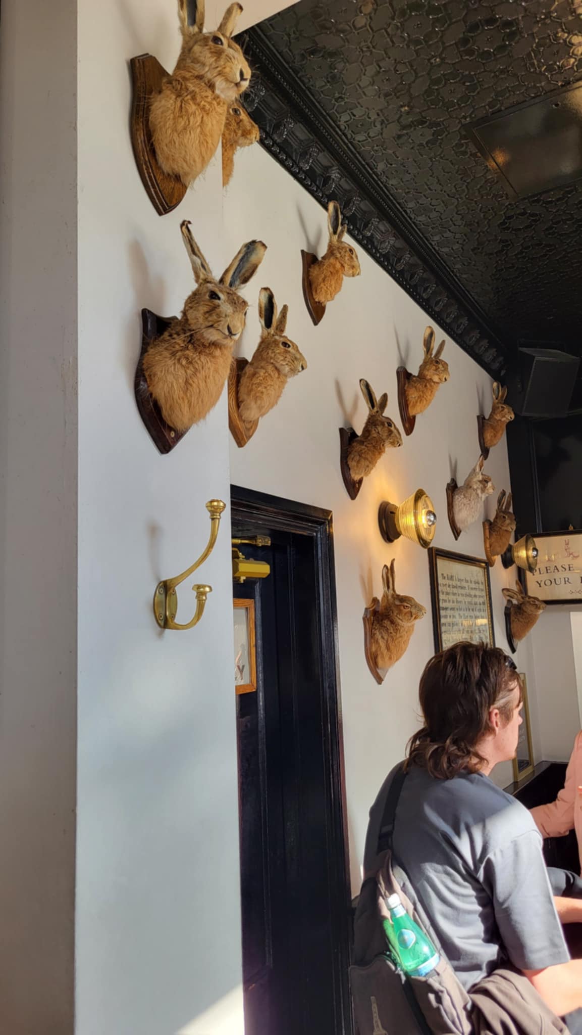 bar interior